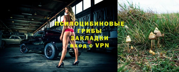 mdpv Володарск